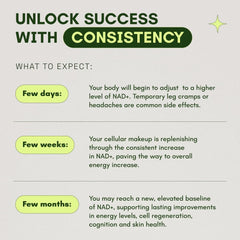 Cata-Kor 500mg NAD+ – Skin Energy Focus Supplement